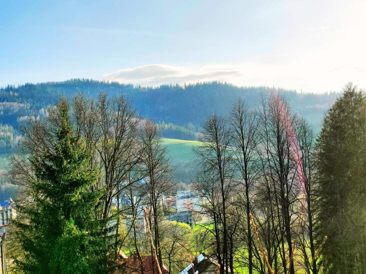 Czarna Owca Hotel Wisla Luaran gambar